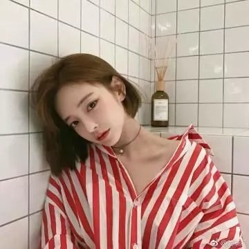 致我的陌生恋人